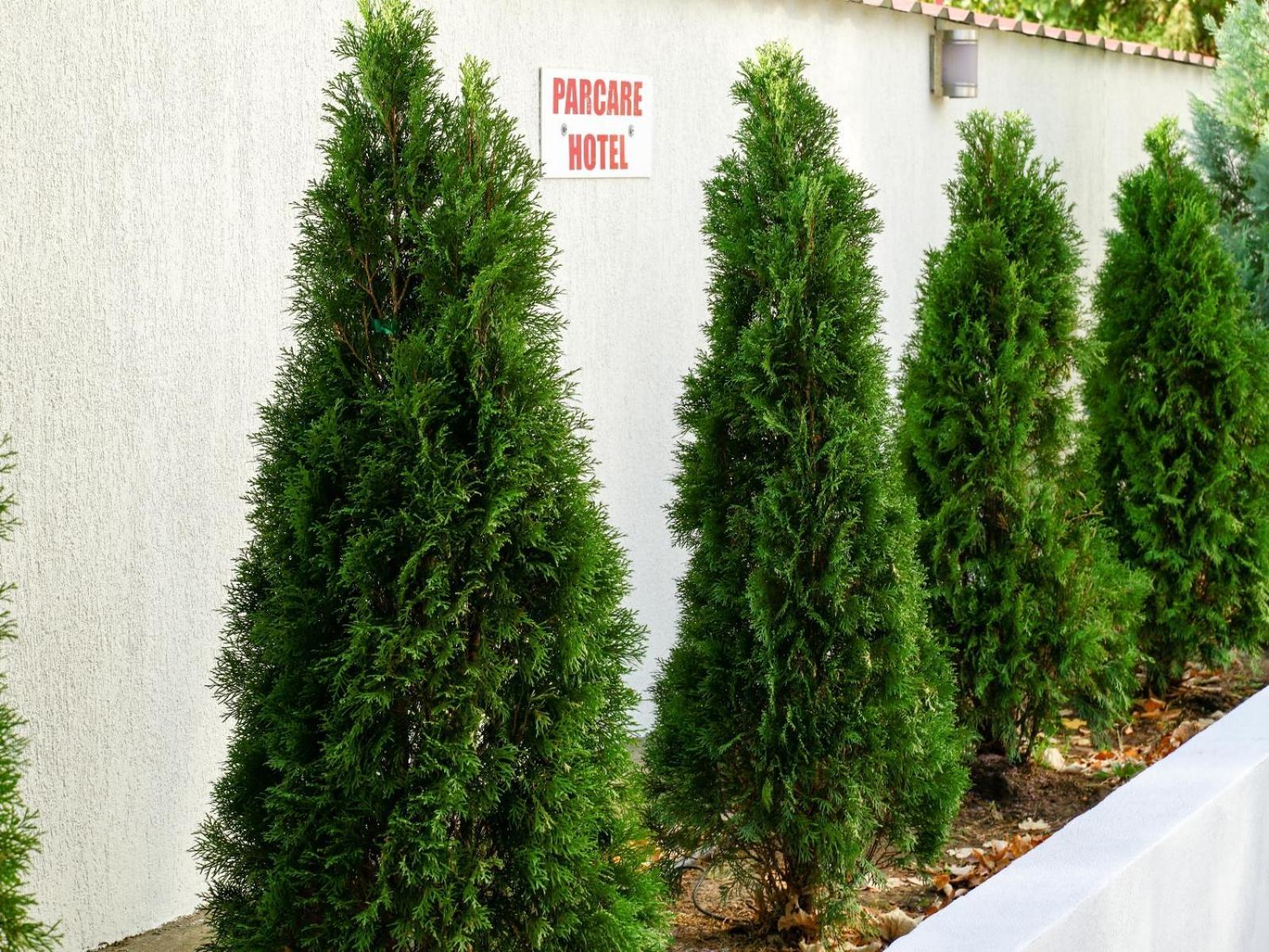 Hotel Criss Bukurešť Exteriér fotografie